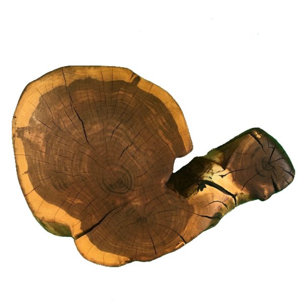 Baumscheibe Apfelbaum mit Ast – Bild 2