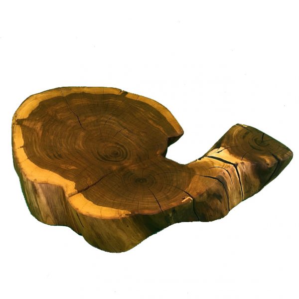 Baumscheibe Apfelbaum mit Ast