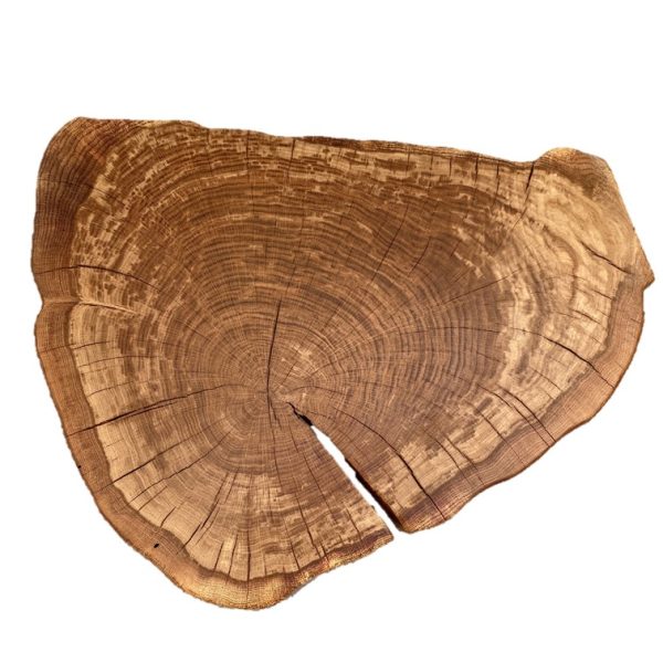 Couchtisch Eiche oval groß – Bild 2