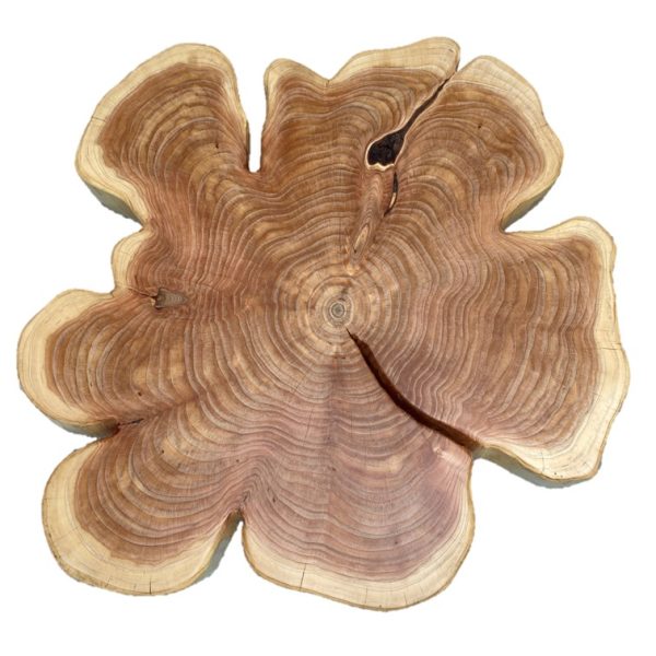 Couchtisch Thuja Kleeblatt - kein Versand – Bild 2